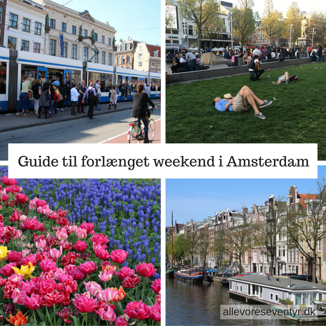 Guide-til-amsterdam (2).png