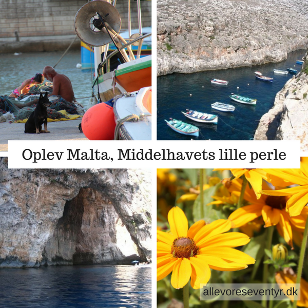 Malta-lille-perle (1).png